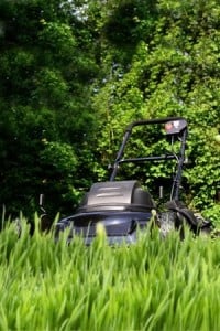 black-lawnmower-200x300-1