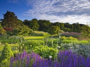 lavender-garden-300x226-1