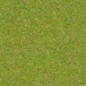 short-grass-300x300-1