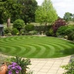 striped-lawn-150x150-1