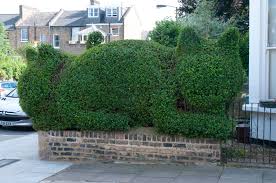 Topiary hedge shaped like a cat head