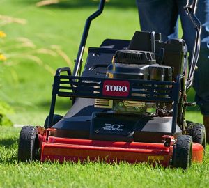 wb2pd5edykg - Mowers Online