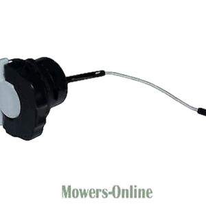 Petrol fuel tank cap with curved fuel line