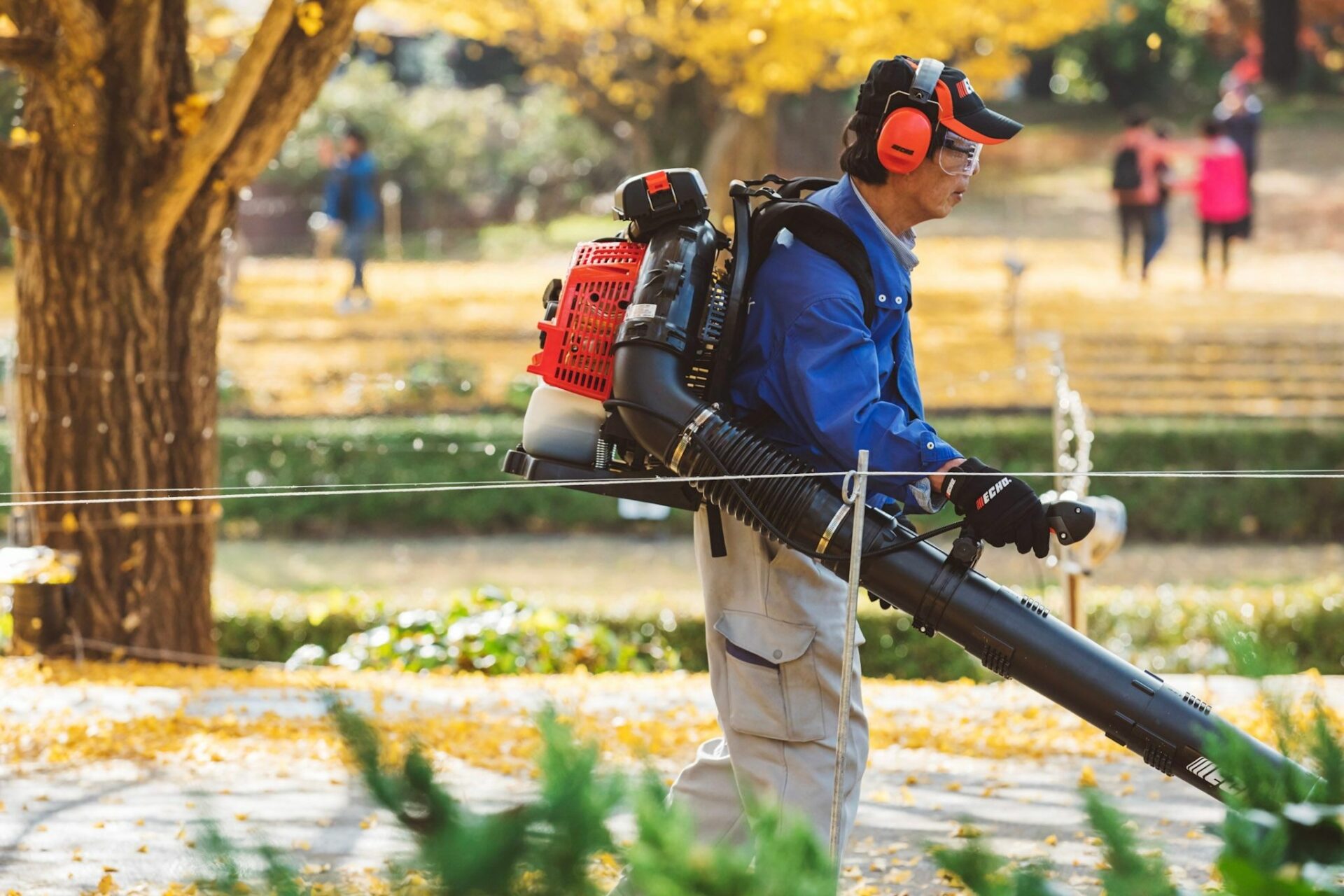 3wgqruytnts.jpg - Mowers Online Man using leaf blower in public park