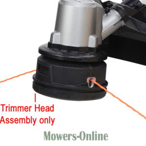 Trimmer head assembly with orange string line
